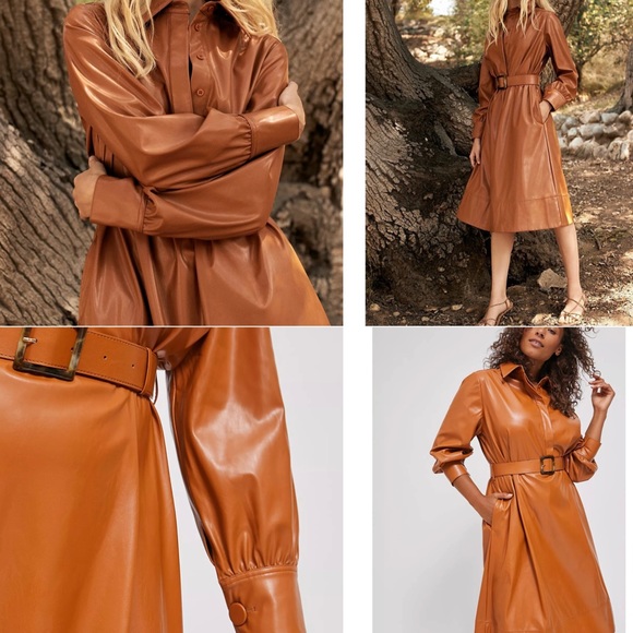 ♦️SOLD♦️NWT Ripley Faux Leather Dress - Picture 2 of 12